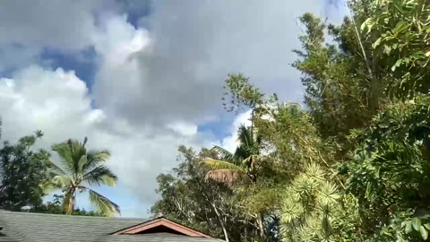 jungleliving333  26-07-2022